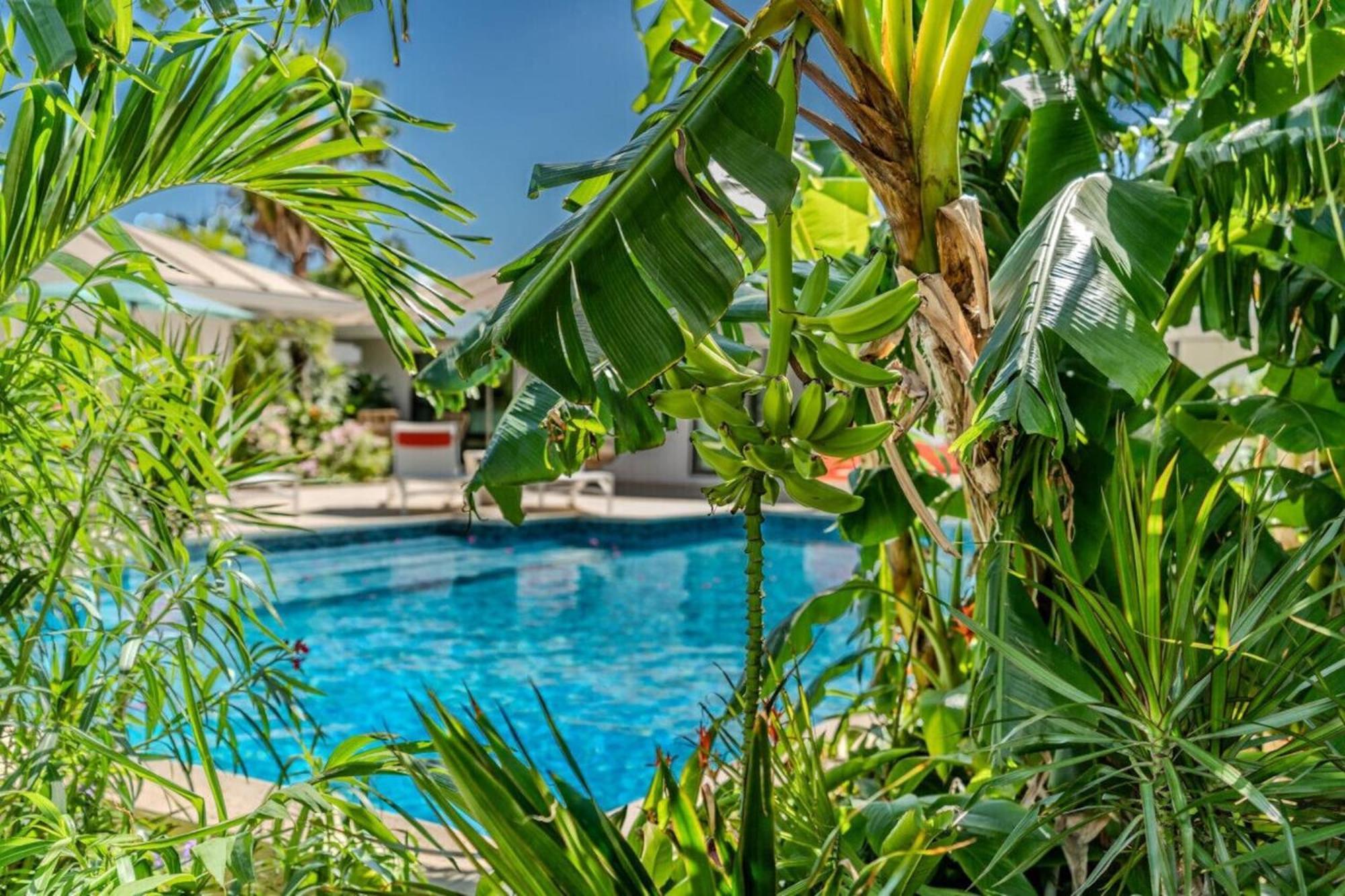 Royal Villa With A Huge Swimming Pool Cowell Battery Exterior photo